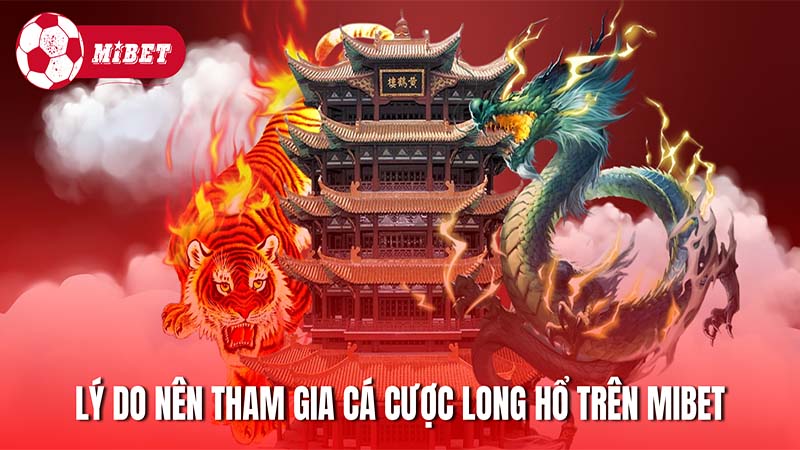 Lý do nên tham gia cá cược Long Hổ trên hệ thống Mibet